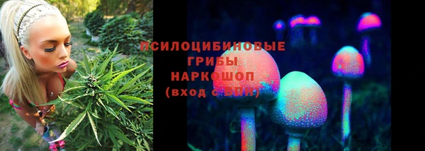 шишки Лабытнанги