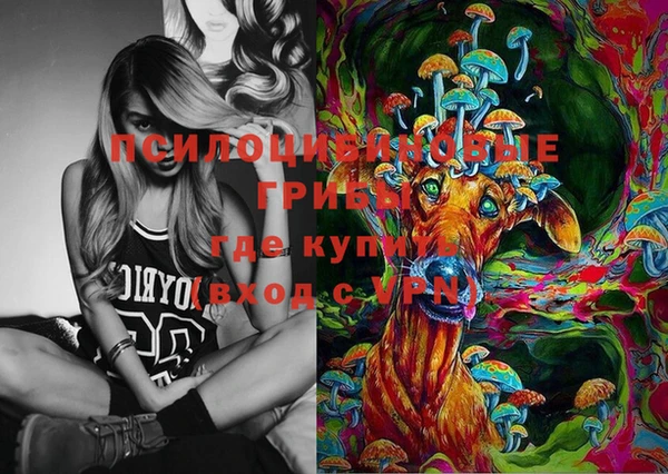 прущие грибы Покров