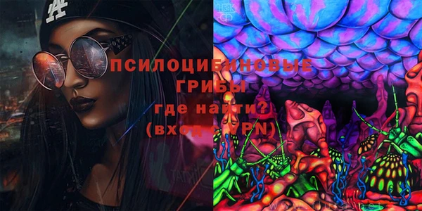 a pvp Пересвет