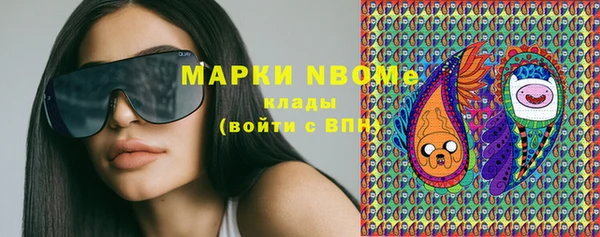 прущие грибы Покров