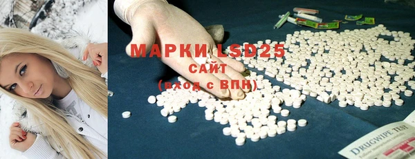 прущие грибы Покров