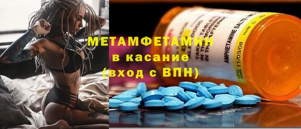 прущие грибы Покров