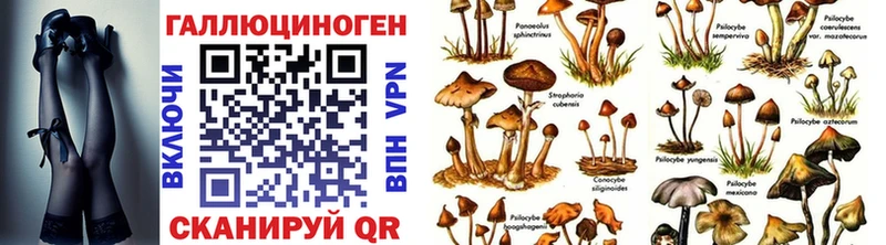 хочу   Колпашево  Псилоцибиновые грибы MAGIC MUSHROOMS 